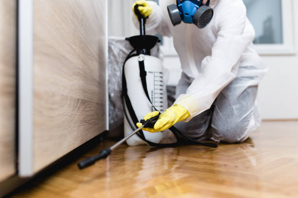 Best Commercial Pest Control Services  in Colusa, CA