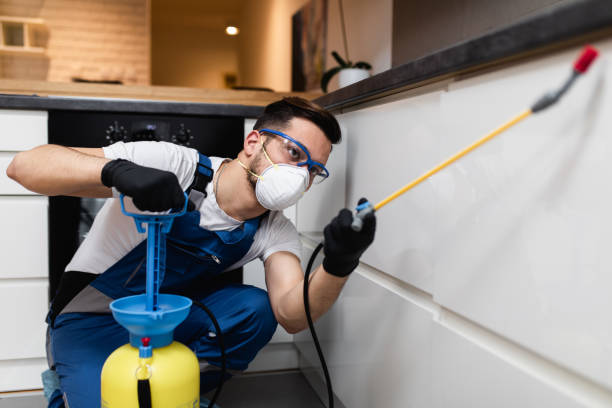 Best Affordable Pest Control Services  in Colusa, CA