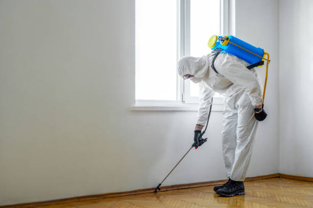 Best Pest Control for Businesses  in Colusa, CA