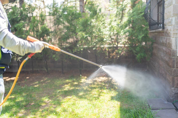 Best Cockroach Control Services  in Colusa, CA
