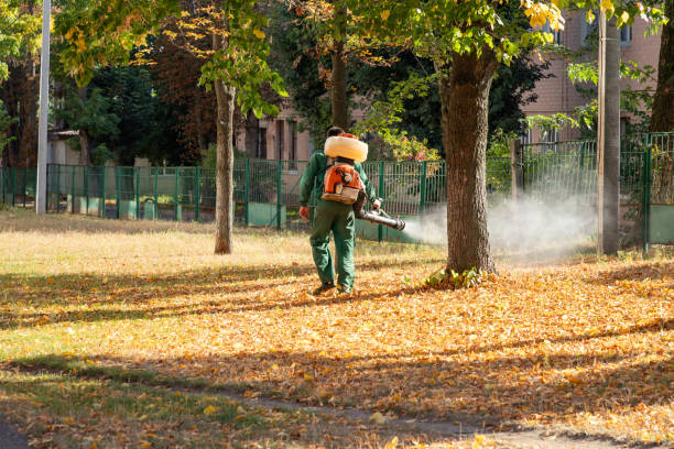 Best Exterminator Services  in Colusa, CA