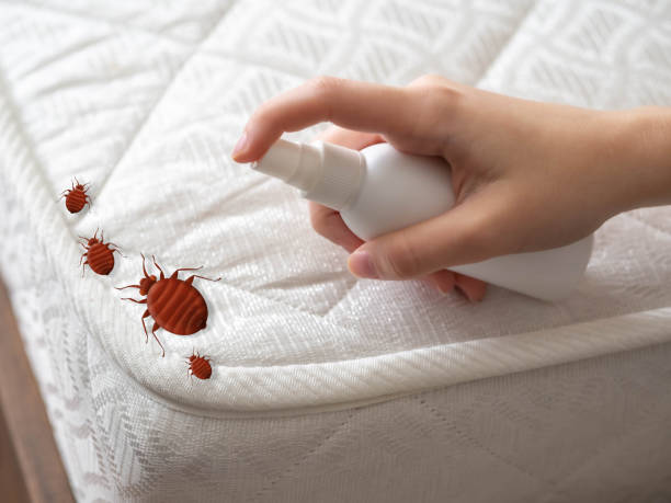 Best Pest Control Near Me in Colusa, CA