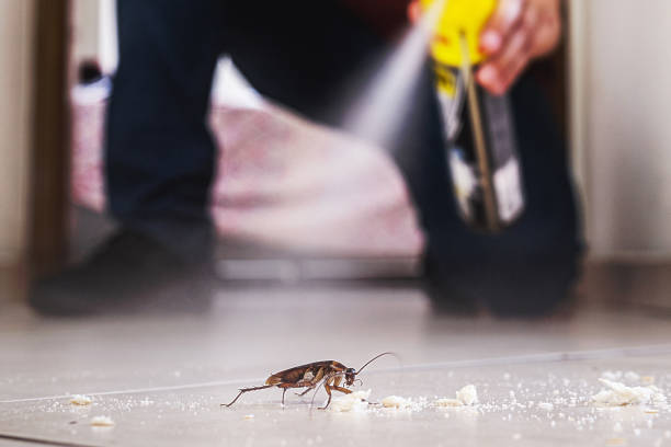 Best Residential Pest Control  in Colusa, CA