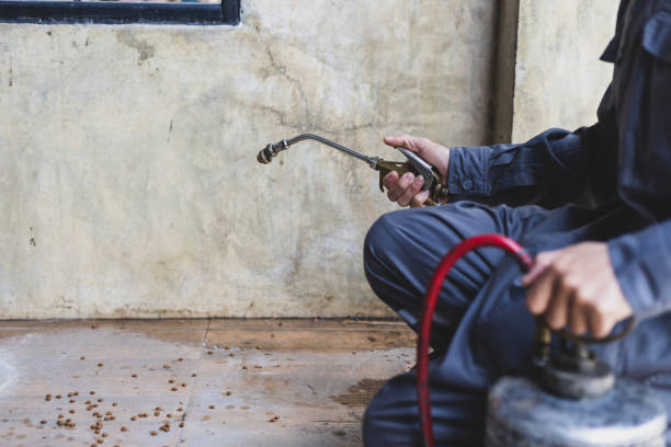 Best Pest Prevention Services  in Colusa, CA