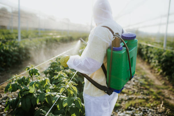 Pest Control Cost in Colusa, CA